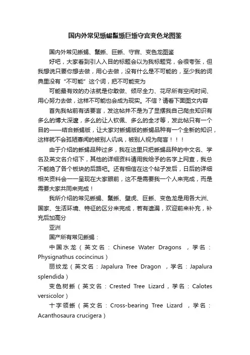 国内外常见蜥蜴鬣蜥巨蜥守宫变色龙图鉴