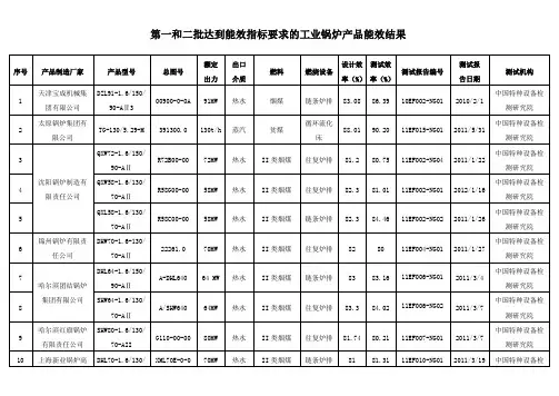 锅炉能效结果