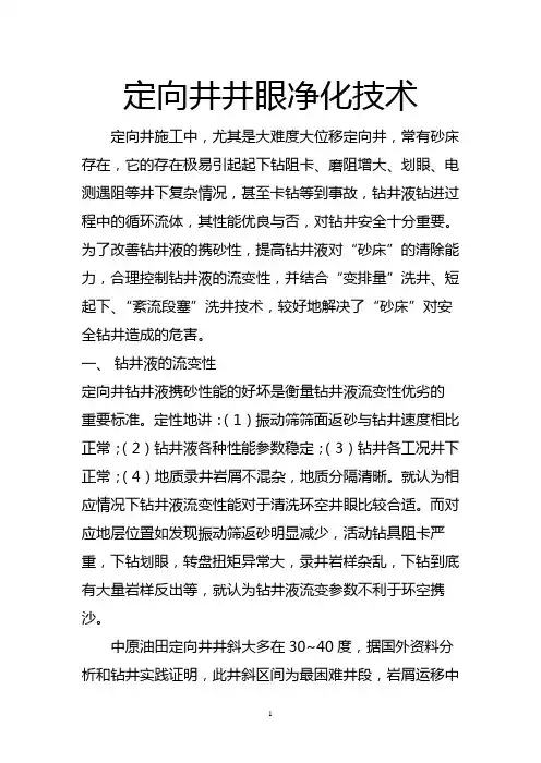 定向井井眼净化技术