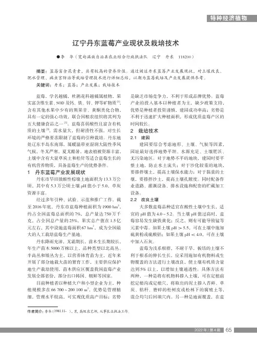辽宁丹东蓝莓产业现状及栽培技术