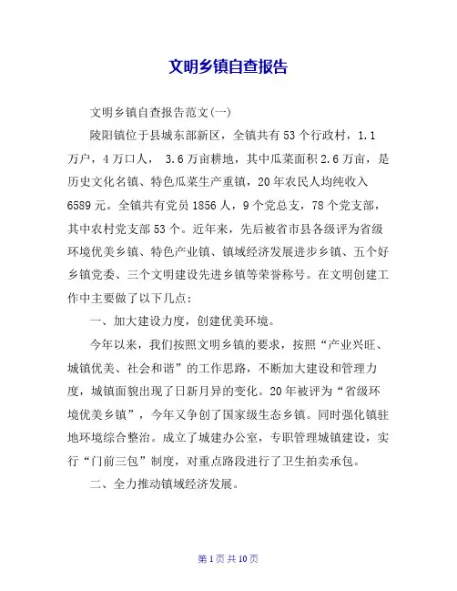 文明乡镇自查报告