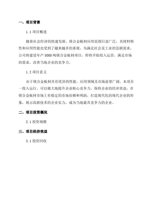 年产5000吨镁合金板材项目商业计划书