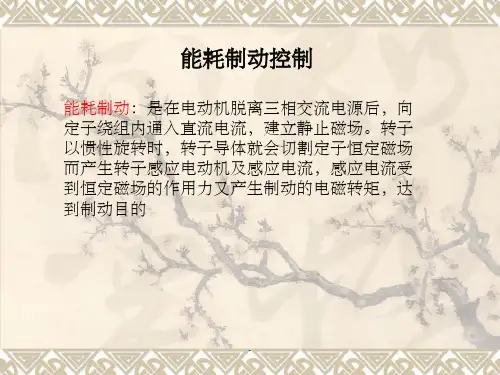 三相异步电动机能耗制动ppt