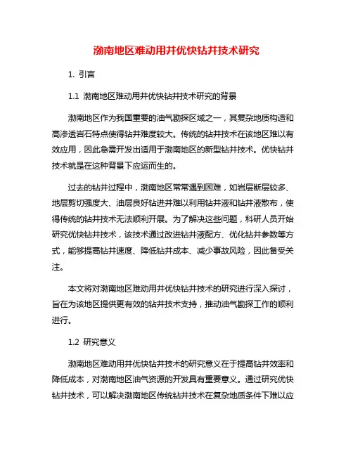 渤南地区难动用井优快钻井技术研究