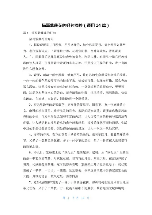 描写紫藤花的好句摘抄(通用14篇)