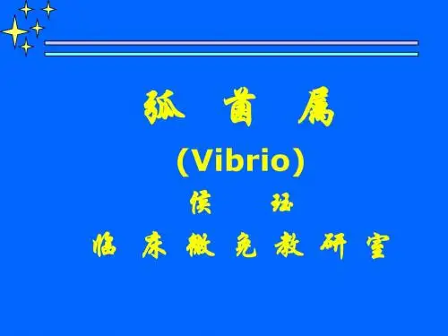 霍乱检测课件