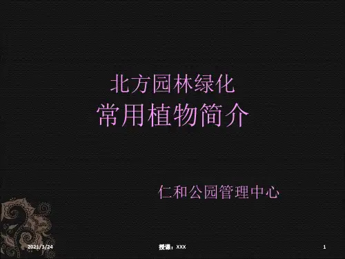 北方常用园林绿化植物、树种简介-PPT课件