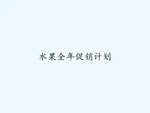 水果全年促销计划ppt