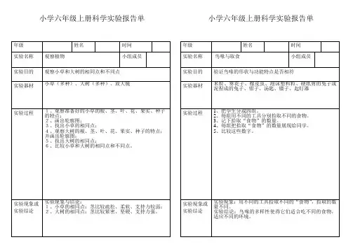小学科学六年级上册实验报告单