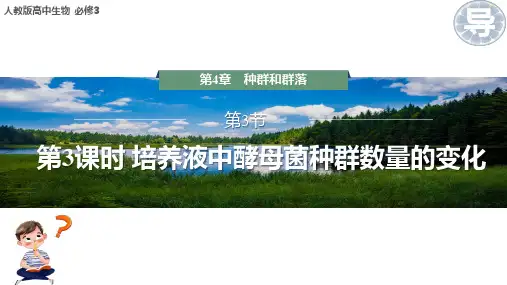 第67讲 培养液中酵母菌种群数量的变化-高考生物一轮复习课件