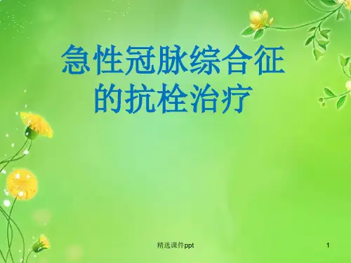 ACS抗栓治疗指南