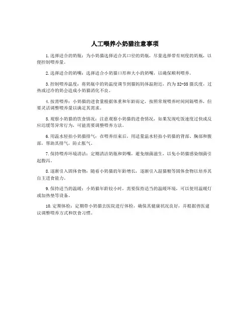 人工喂养小奶猫注意事项