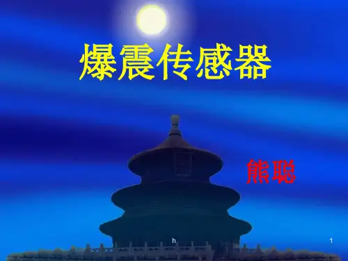 《爆震传感器》PPT课件