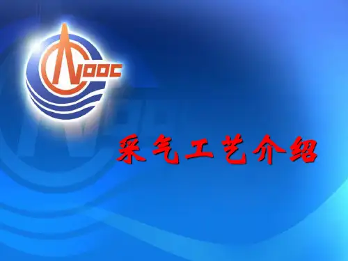 采气工艺介绍教材
