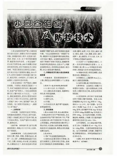 小麦全蚀病及防控技术