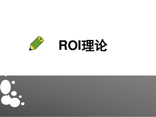 ROI理论ppt课件
