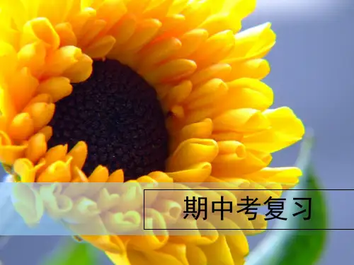 化学期中考复习28页PPT文档