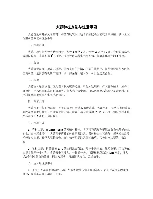 大蒜种植方法与注意事项