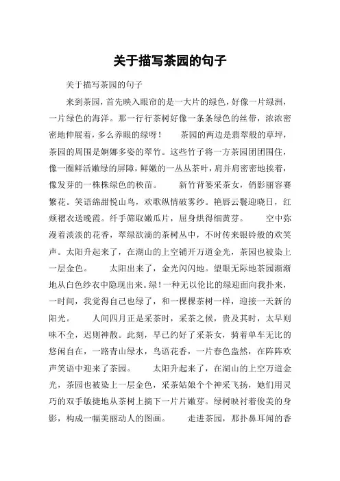 关于描写茶园的句子