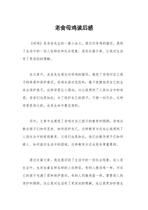 老舍母鸡读后感