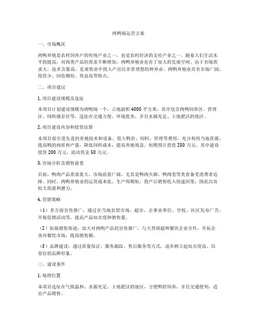 肉鸭场运营方案
