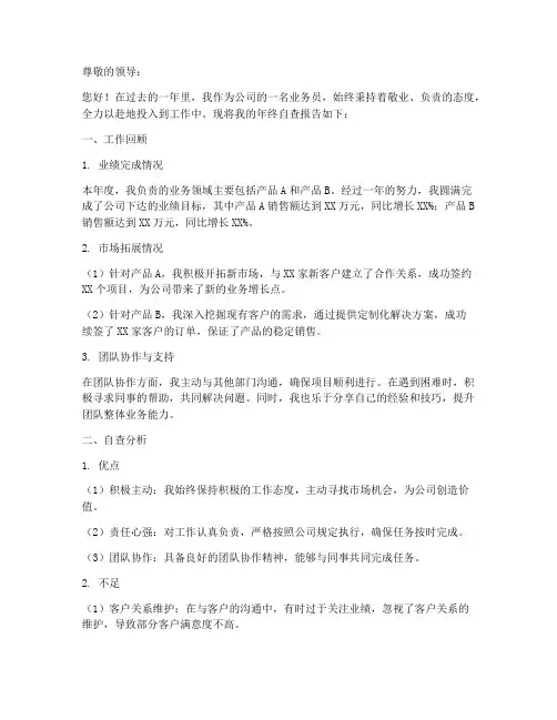 业务员年终自查报告范文