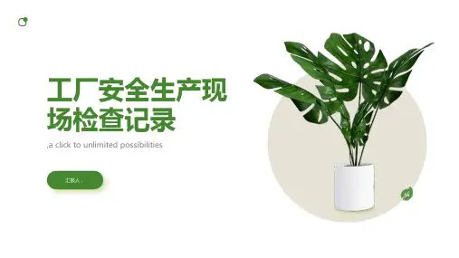 工厂安全生产现场检查记录