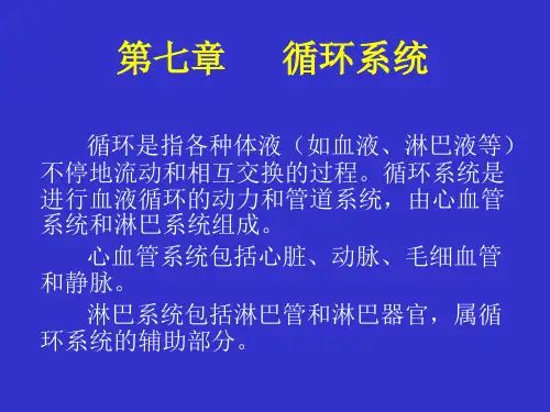生理解剖学-循环系统