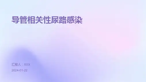 导管相关性尿路感染演示课件