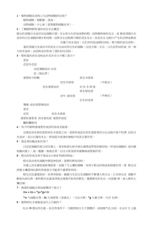 植物学复习提纲含答案.doc