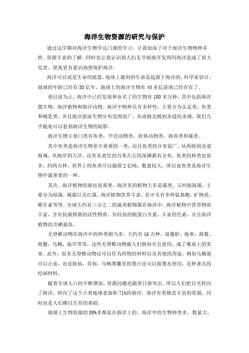 海洋生物资源的研究与保护
