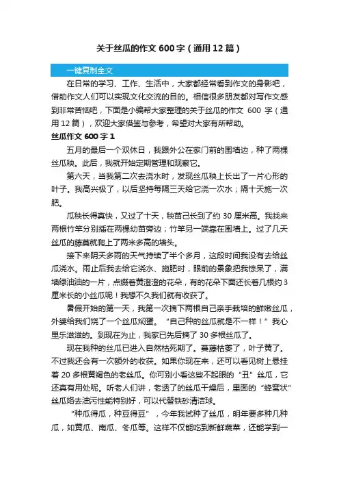 关于丝瓜的作文600字（通用12篇）