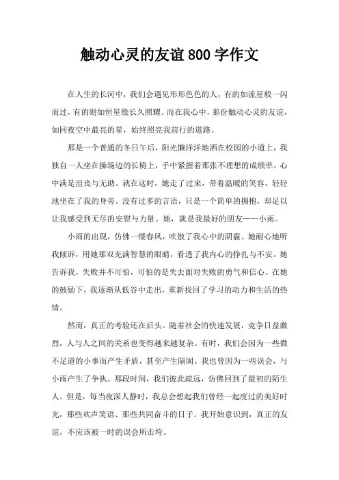 触动心灵的友谊800字作文