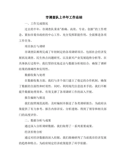 市调查队上半年工作总结