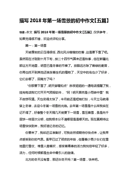 描写2018年第一场雪景的初中作文【五篇】