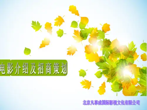 广告植入方案