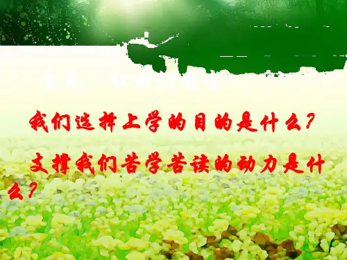 我的大学_我的梦主题班会共34页文档