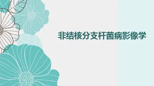 非结核分支杆菌病影像学(NTM)