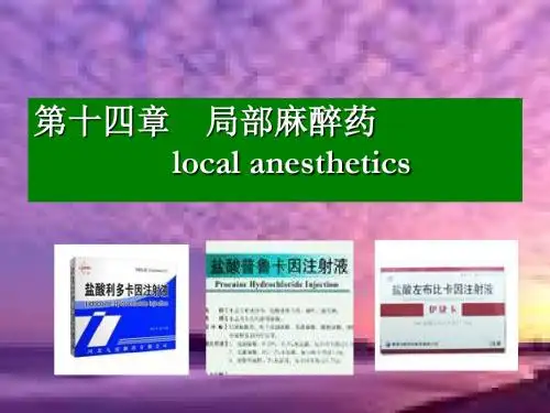 讲座-14局麻药学习文档