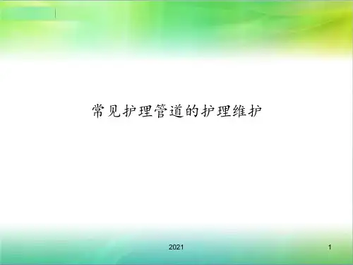 常见护理管道的护理维护PPT课件