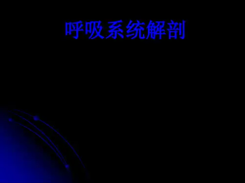肺部解剖学