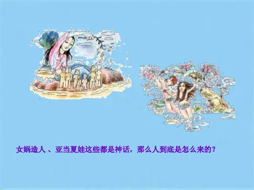 苏教版初中生物八年级上册 5.16.4 人类的起源和进化 课件 (共22张PPT)