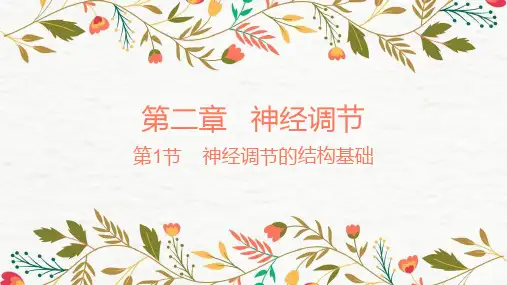 【新教材】2.1神经调节的结构基础 课件 人教版(2019)高中生物选择性必修一