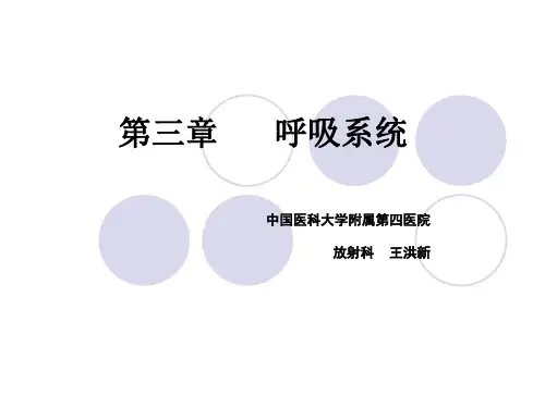 影像 呼吸系统 (2)