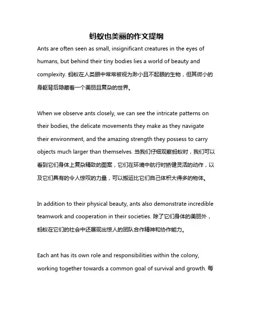 蚂蚁也美丽的作文提纲
