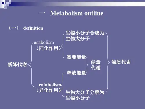 新陈代谢总论和生物氧化课件