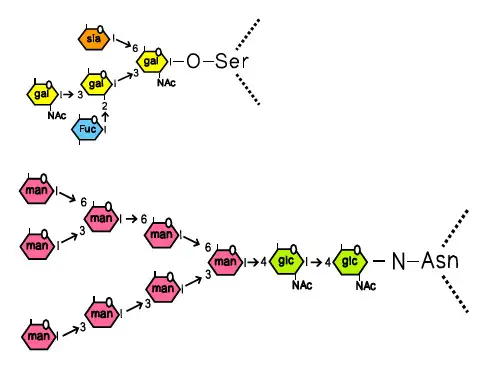生物化学与分子生物学PPT图片素材-ScienceSlide2