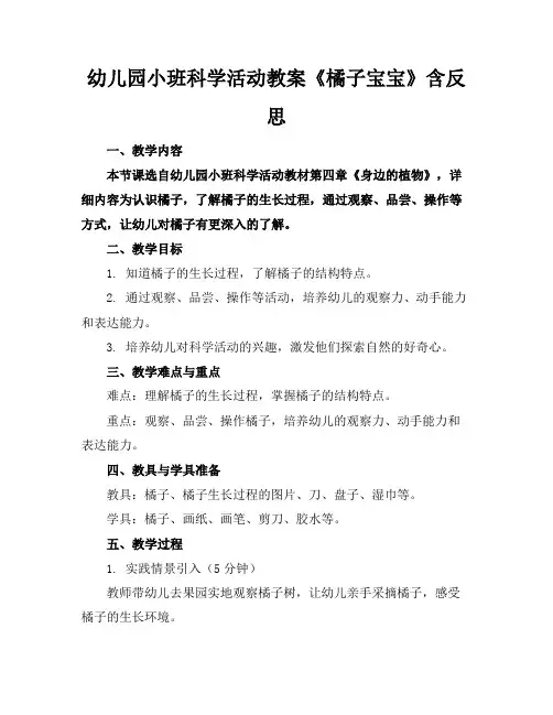 幼儿园小班科学活动教案《橘子宝宝》含反思