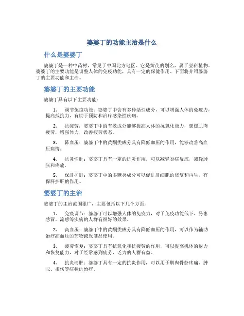 婆婆丁的功能主治是什么