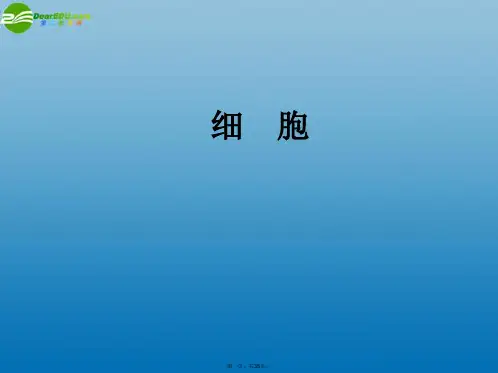 七年级科学上册 2.2 细胞课件1 浙教版